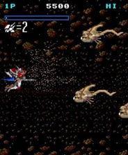 五一吃瓜网最新官方入口